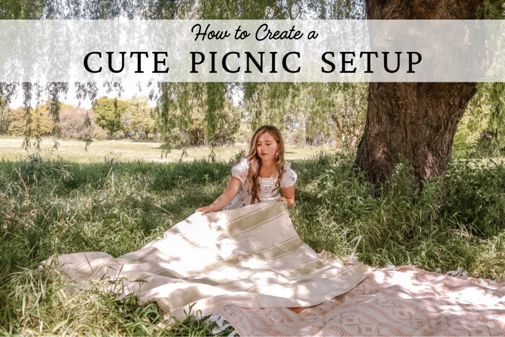 Cute Picnic Setup