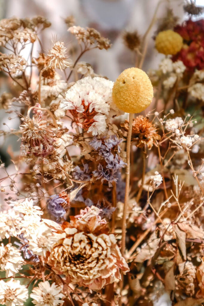 picnic flowers