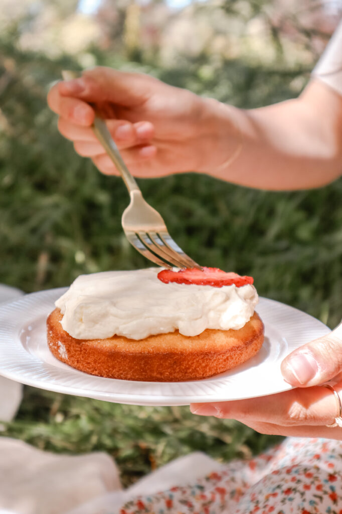 spring picnic food