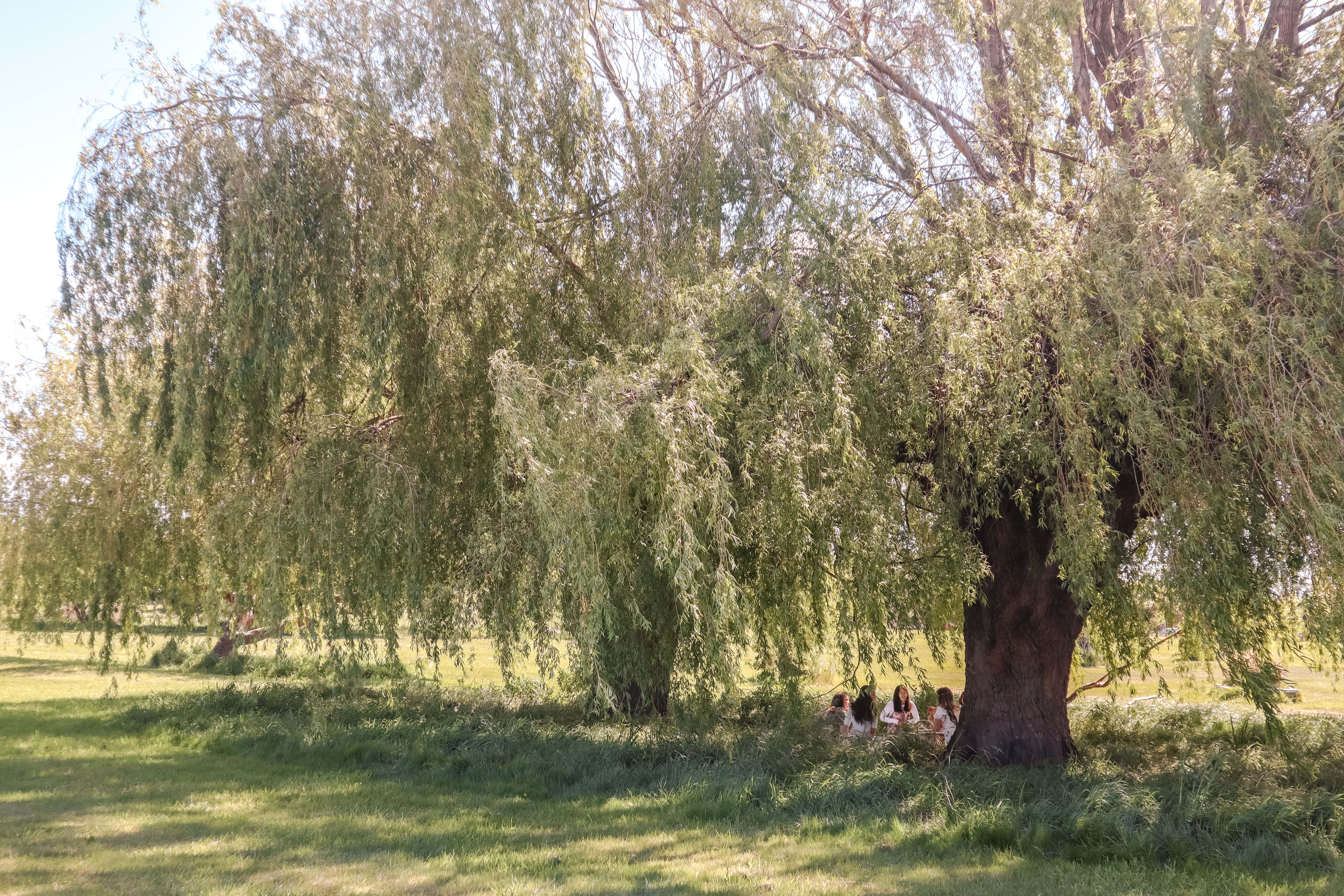 willow spring picnic area
