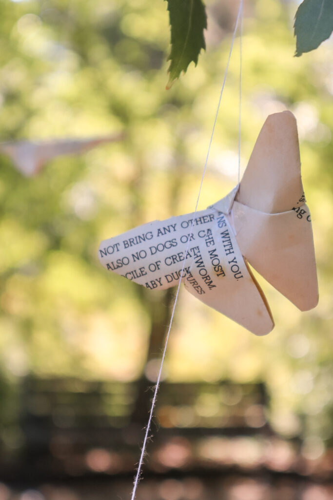 garden party birthday theme