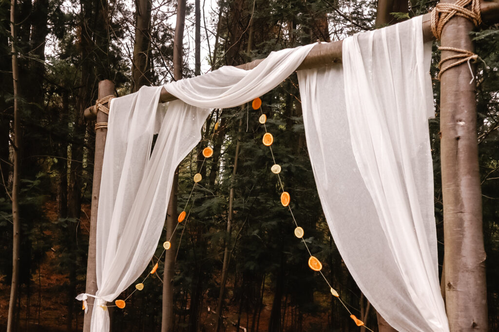 citrus party theme